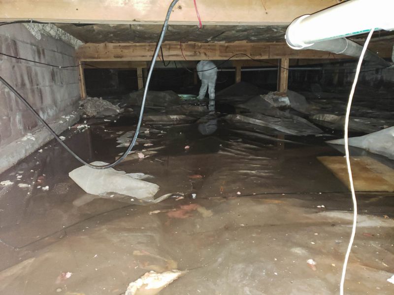 Water Damage Mitigation