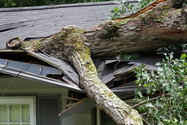 Storm Remediation in Deltona
