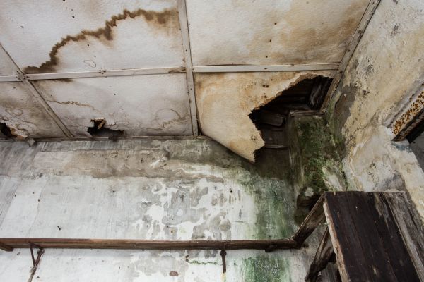 Water Damage Service in Deltona