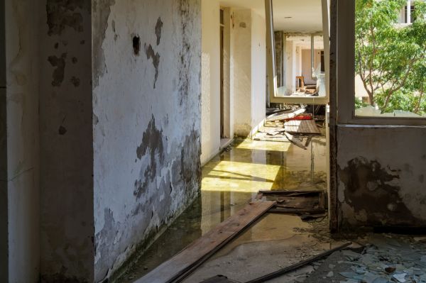 Water Removal Service in Deltona