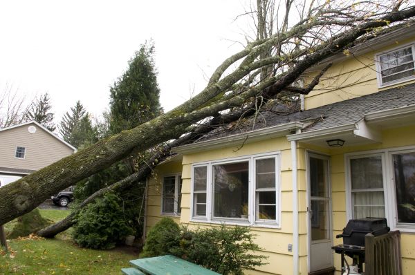 Hurricane Damage Repair in Deltona
